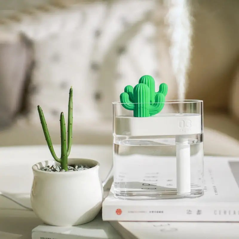 Clear Cactus Humidifier